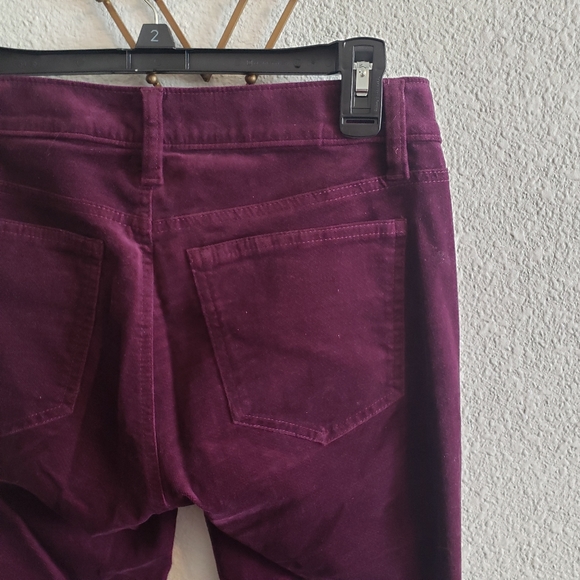 Anne Taylor Factory Purple Velvet Pants - Picture 3 of 5